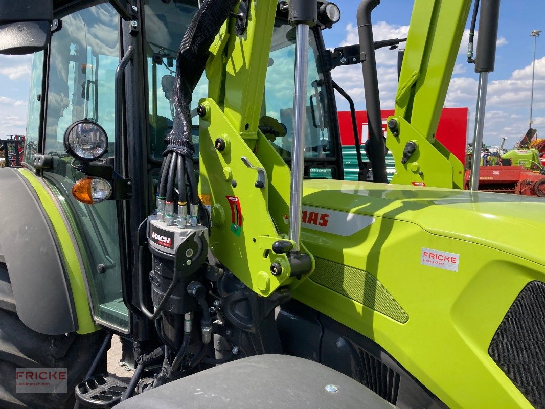 Traktor del tipo CLAAS Axos 240, Neumaschine en Bockel - Gyhum (Imagen 11)