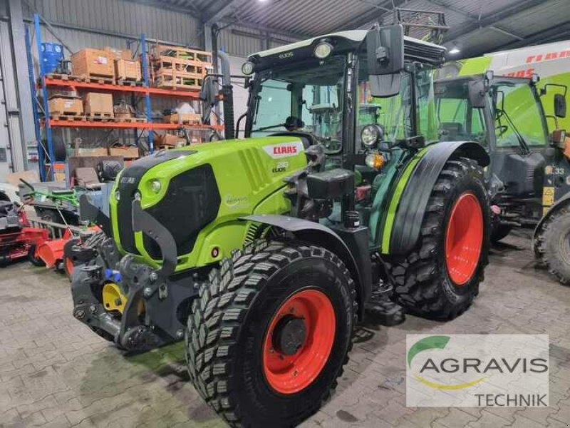 Traktor des Typs CLAAS ELIOS 210 BASIC, Gebrauchtmaschine in Lage (Bild 1)