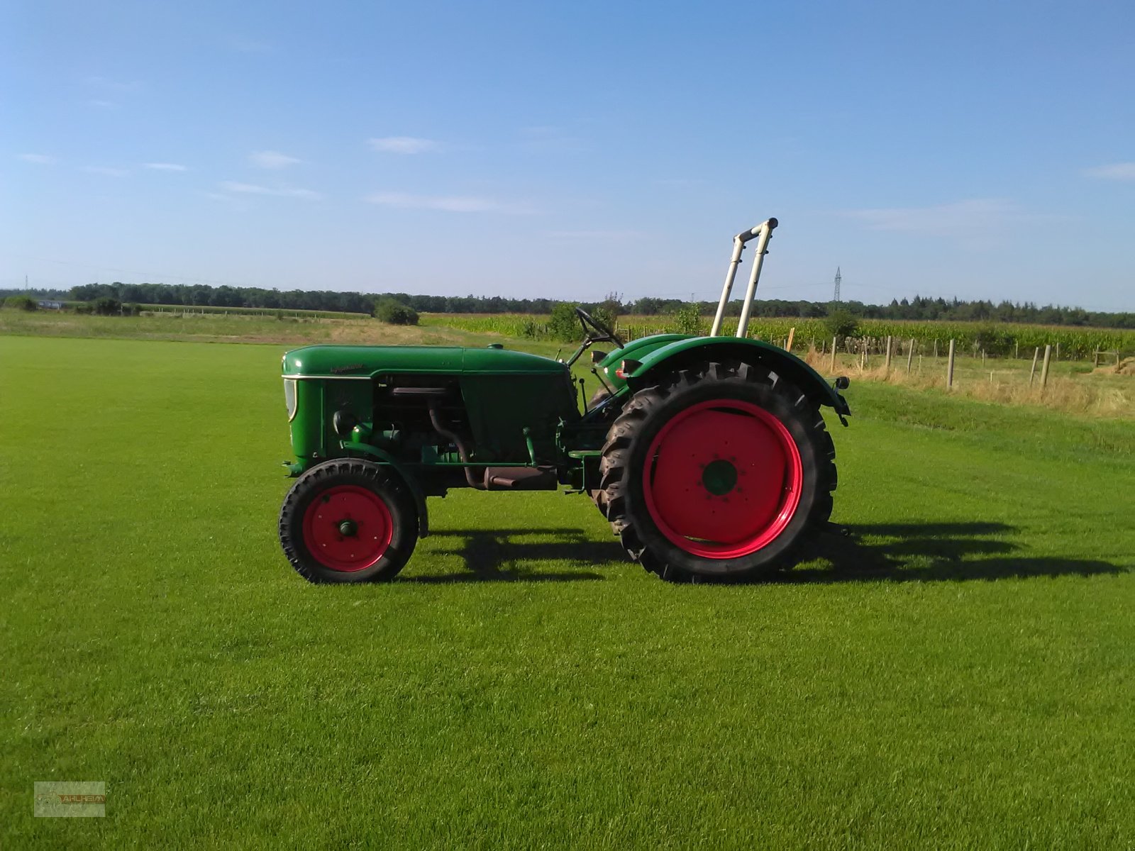 Traktor des Typs Deutz D 50, Gebrauchtmaschine in Bensheim - Schwanheim (Bild 4)