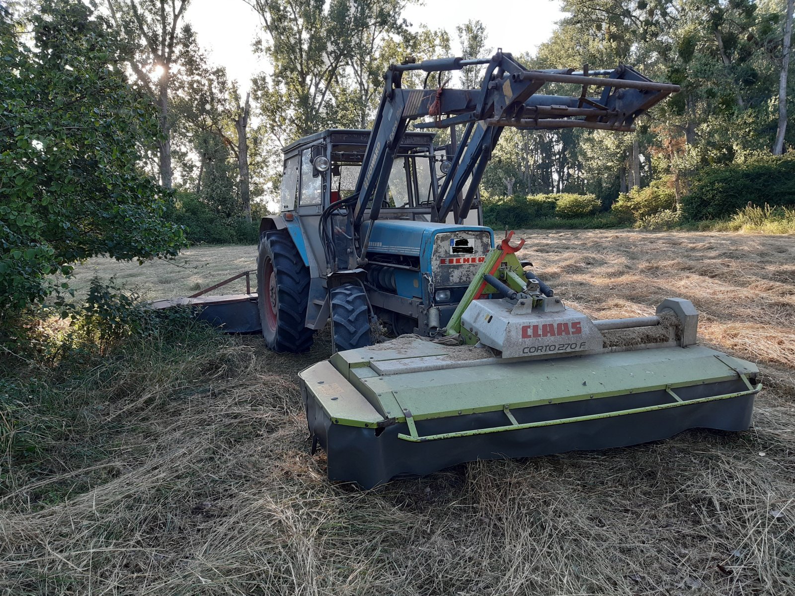 Traktor van het type Eicher 3085 A, Gebrauchtmaschine in Biebesheim (Foto 1)