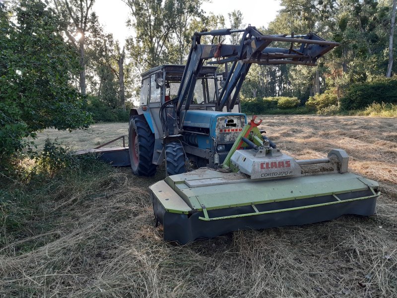 Traktor typu Eicher 3085 A, Gebrauchtmaschine w Biebesheim (Zdjęcie 1)