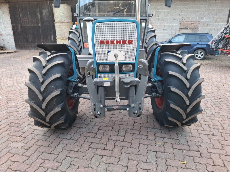 Traktor des Typs Eicher 3133, Gebrauchtmaschine in Münchhausen (Bild 1)