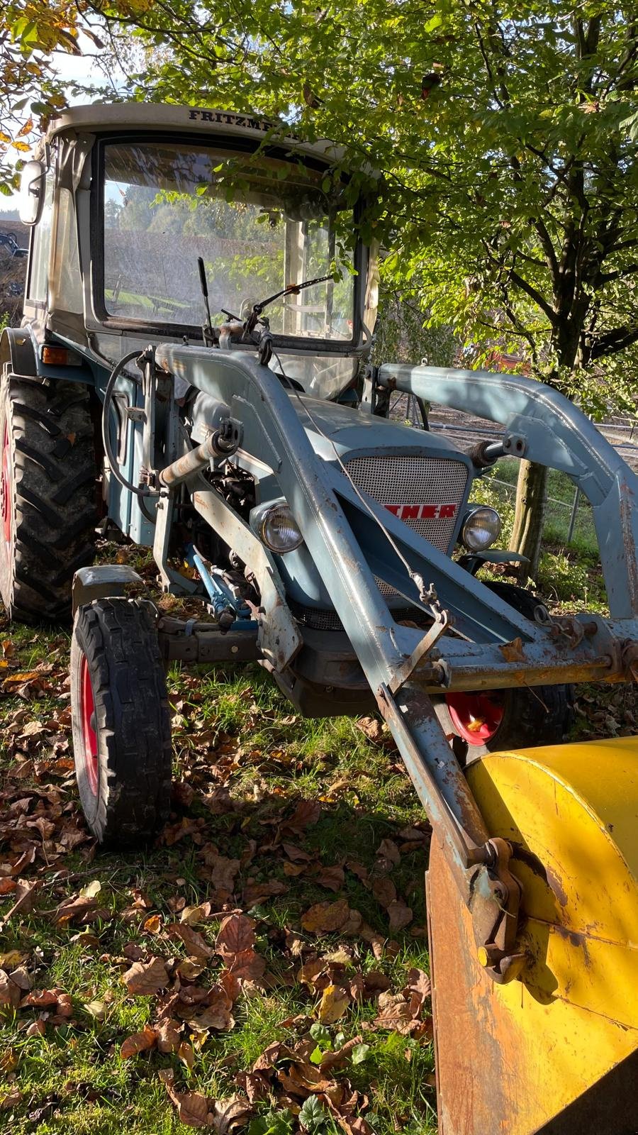 Traktor typu Eicher Mammut 74 3353, Gebrauchtmaschine v Eching (Obrázek 3)