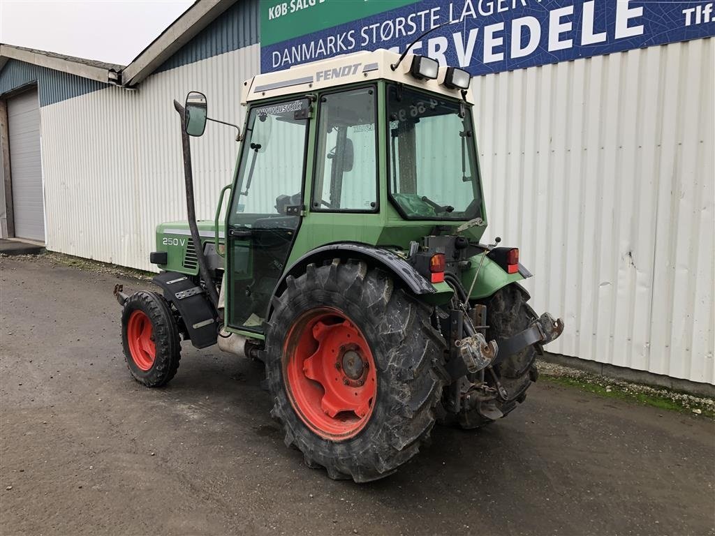 Traktor Türe ait Fendt 250V, Gebrauchtmaschine içinde Rødekro (resim 3)