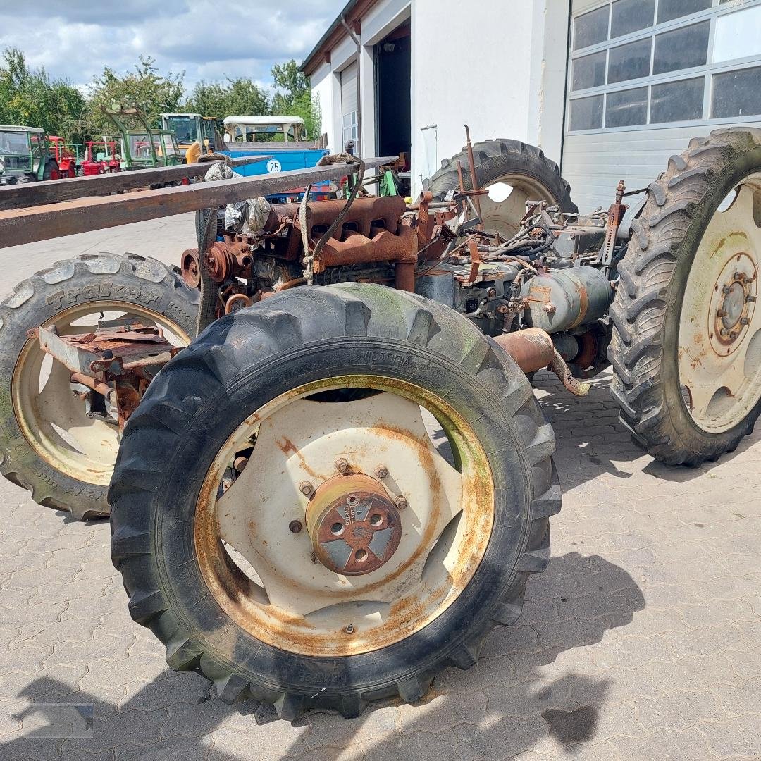 Traktor del tipo Fendt 306, Gebrauchtmaschine en Kleinlangheim - Atzhausen (Imagen 14)