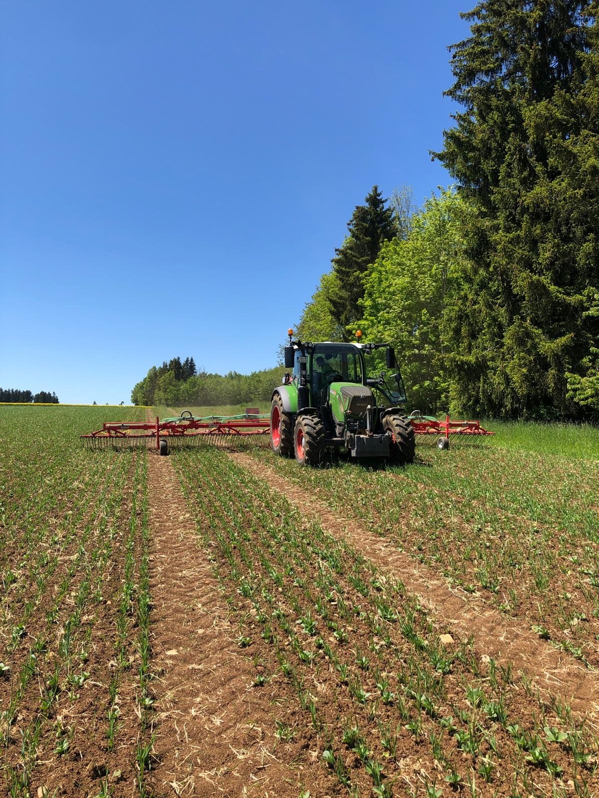 Traktor типа Fendt 313 Prof plus, Gebrauchtmaschine в Donaueschingen (Фотография 16)