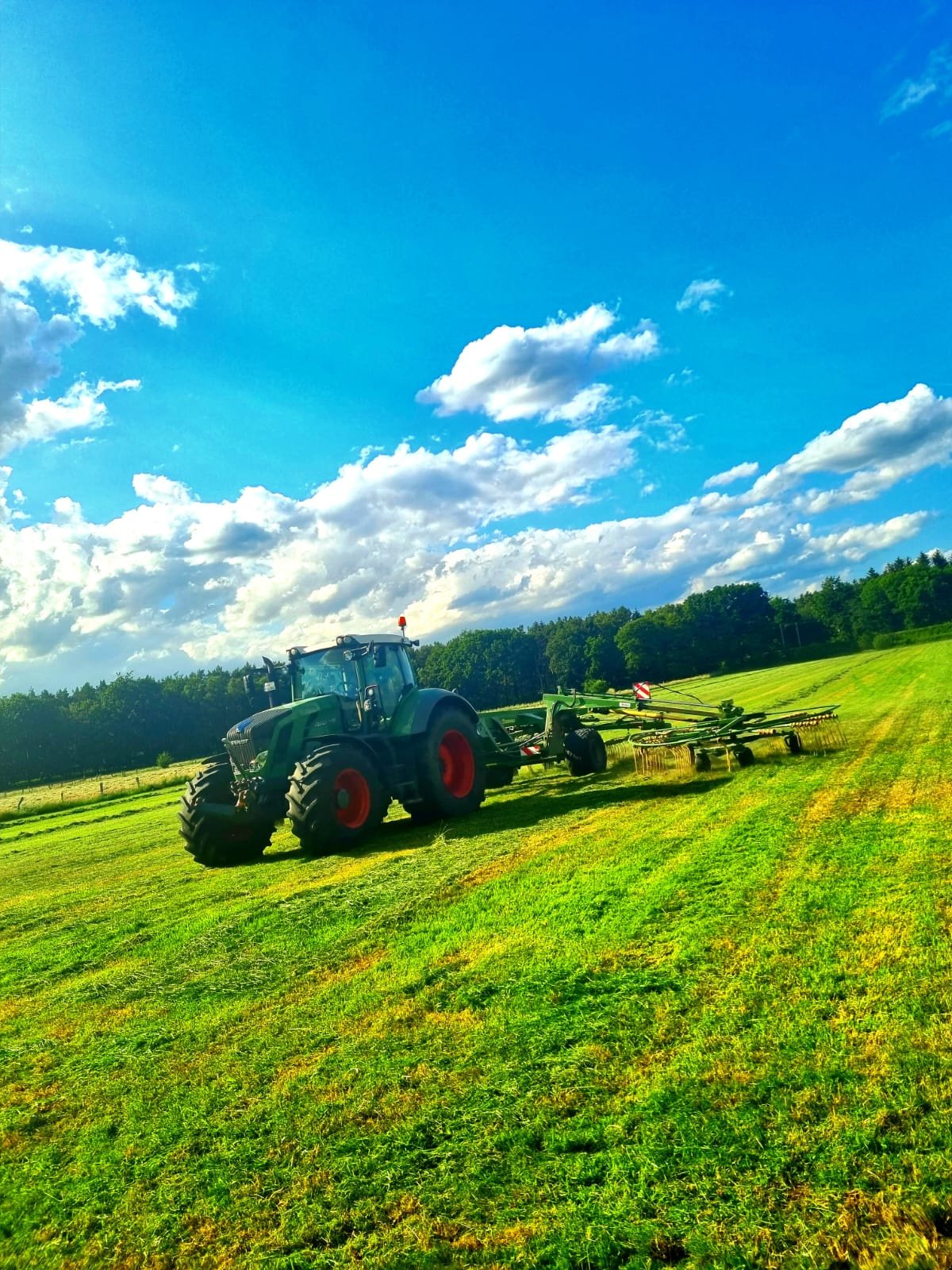 Traktor des Typs Fendt 826 Vario Profi, Gebrauchtmaschine in Neustadt (Bild 3)