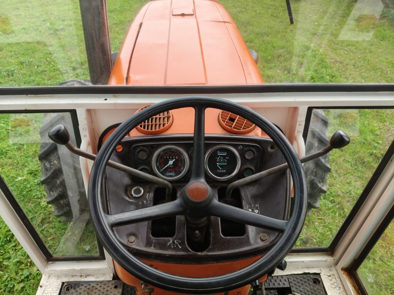 Traktor Türe ait Fiat 1300 DT, Gebrauchtmaschine içinde Donaueschingen  (resim 1)