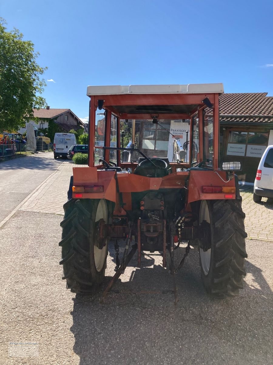 Traktor of the type Fiat 45-66 DT, Gebrauchtmaschine in Obing (Picture 3)