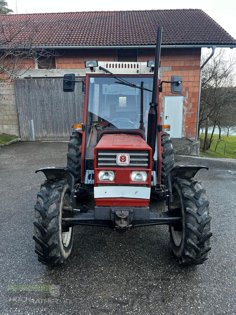 Traktor typu Fiat 45-66 DT, Gebrauchtmaschine v Kronstorf (Obrázek 2)