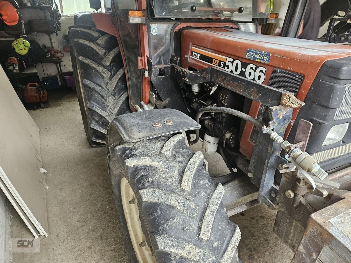 Traktor du type Fiat 50-66 DTS, Gebrauchtmaschine en St. Marein (Photo 6)