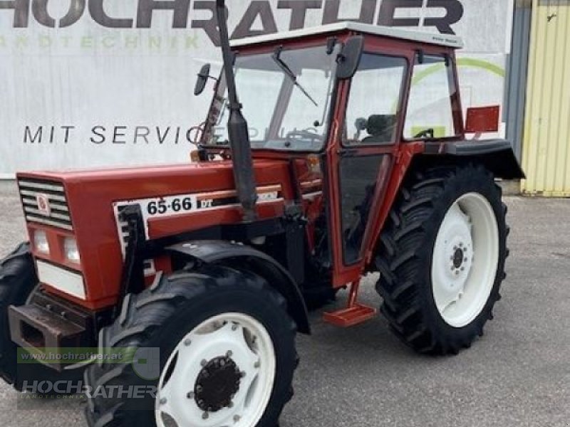 Traktor of the type Fiat 65-66 DT, Gebrauchtmaschine in Kronstorf