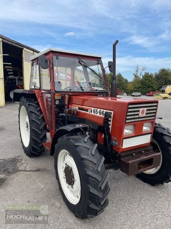 Traktor типа Fiat 65-66 DT, Gebrauchtmaschine в Kronstorf (Фотография 3)