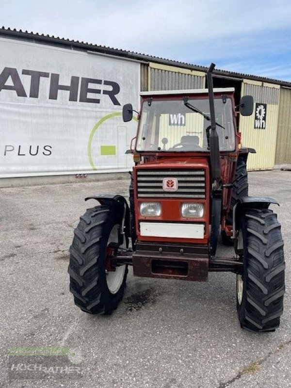 Traktor typu Fiat 65-66 DT, Gebrauchtmaschine v Kronstorf (Obrázek 2)