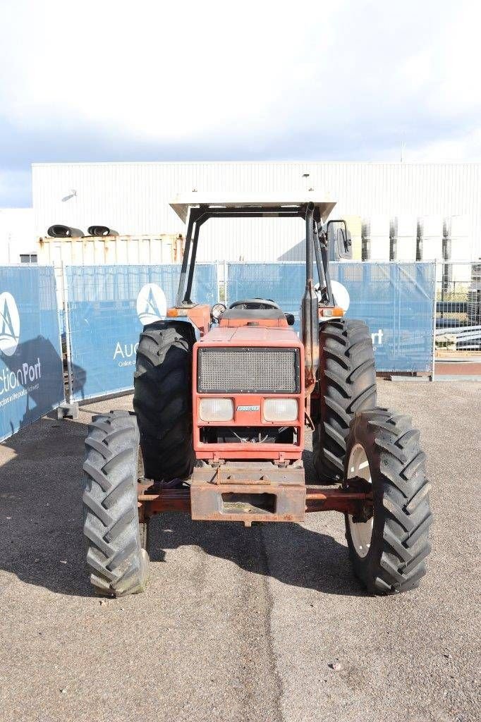 Traktor tip Fiat 65-66DT, Gebrauchtmaschine in Antwerpen (Poză 8)