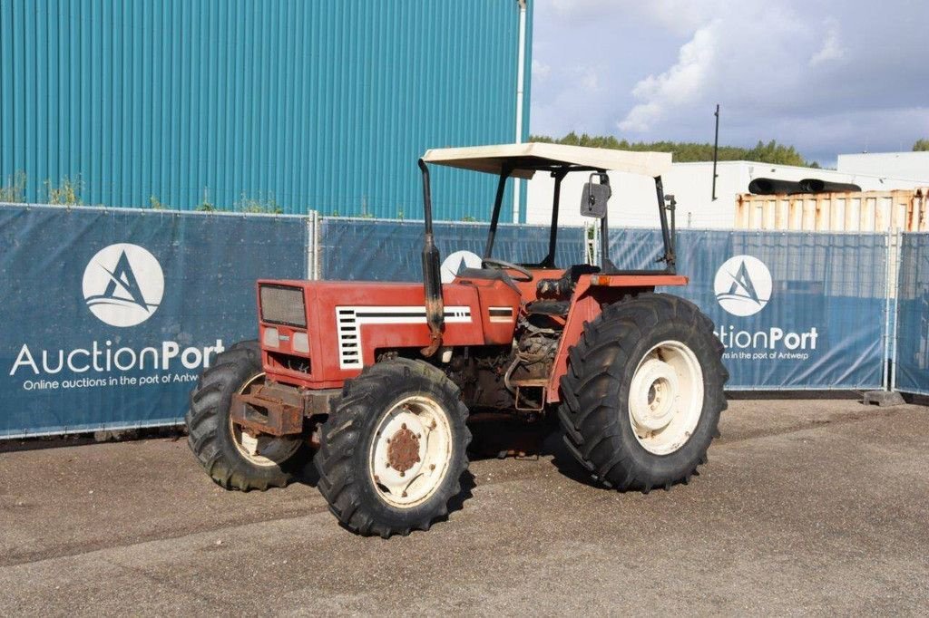 Traktor a típus Fiat 65-66DT, Gebrauchtmaschine ekkor: Antwerpen (Kép 9)