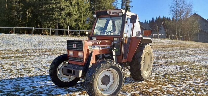 Traktor del tipo Fiat 65-88 DT, Gebrauchtmaschine In Tamsweg (Immagine 3)