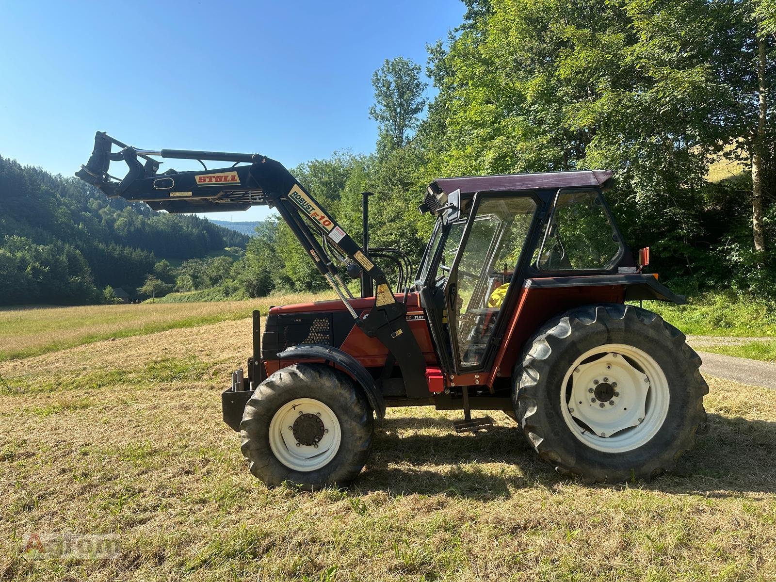 Traktor typu Fiat 65-94 DT, Gebrauchtmaschine v Meißenheim-Kürzell (Obrázek 1)