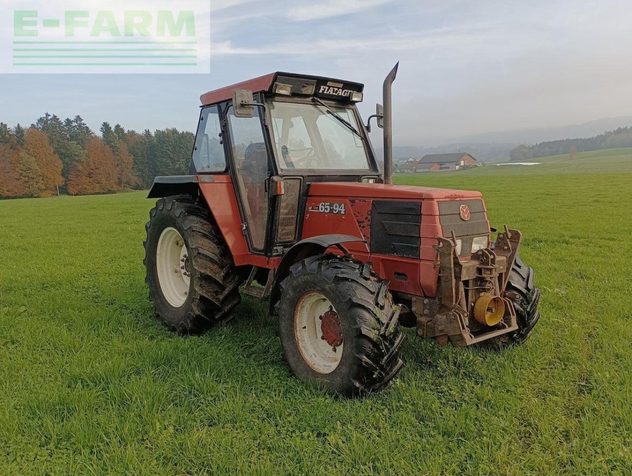 Traktor van het type Fiat 65-94, Gebrauchtmaschine in ELIXHAUSEN (Foto 10)