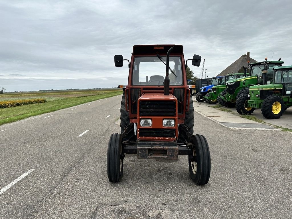 Traktor του τύπου Fiat 680, Gebrauchtmaschine σε Callantsoog (Φωτογραφία 2)