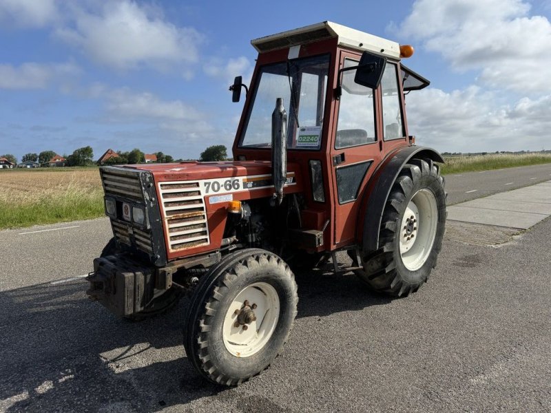 Traktor des Typs Fiat 70-66, Gebrauchtmaschine in Callantsoog (Bild 1)