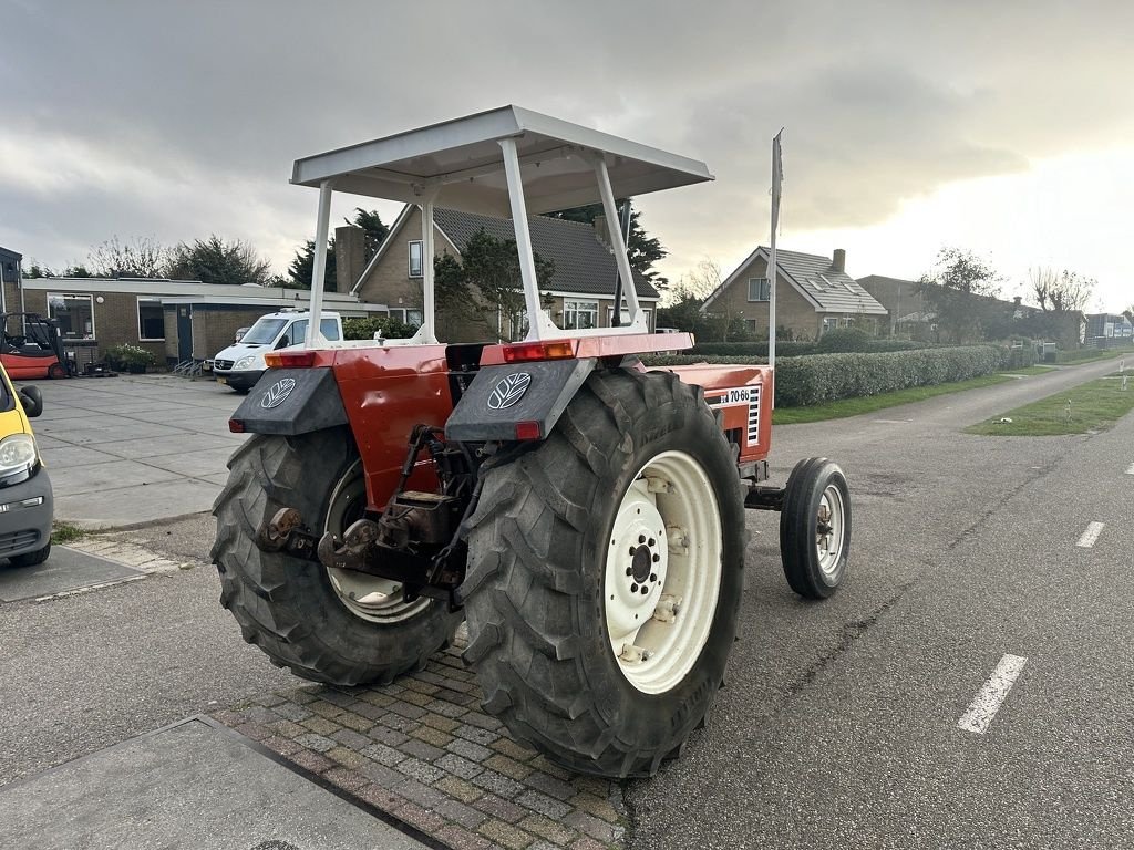 Traktor des Typs Fiat 70-66, Gebrauchtmaschine in Callantsoog (Bild 10)