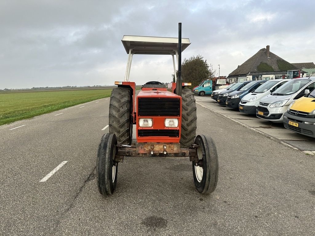 Traktor от тип Fiat 70-66, Gebrauchtmaschine в Callantsoog (Снимка 2)