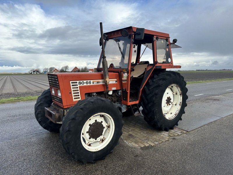 Traktor of the type Fiat 80-66 DT, Gebrauchtmaschine in Callantsoog (Picture 1)