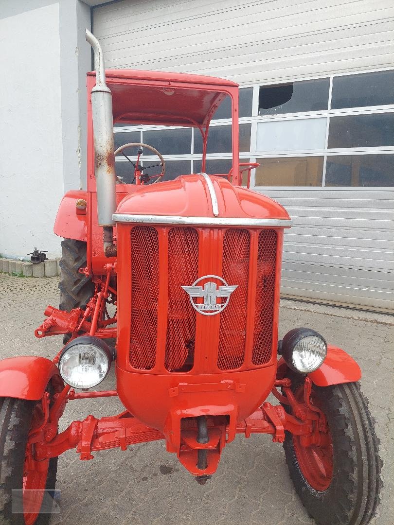 Traktor of the type Hanomag Brillant 601, Gebrauchtmaschine in Kleinlangheim - Atzhausen (Picture 2)