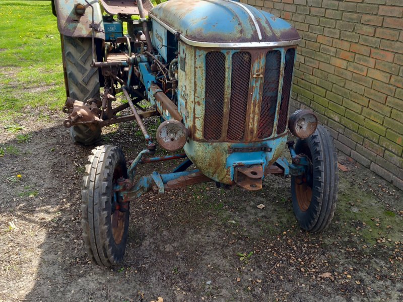 Traktor des Typs Hanomag C 224, Gebrauchtmaschine in Staffhorst (Bild 1)