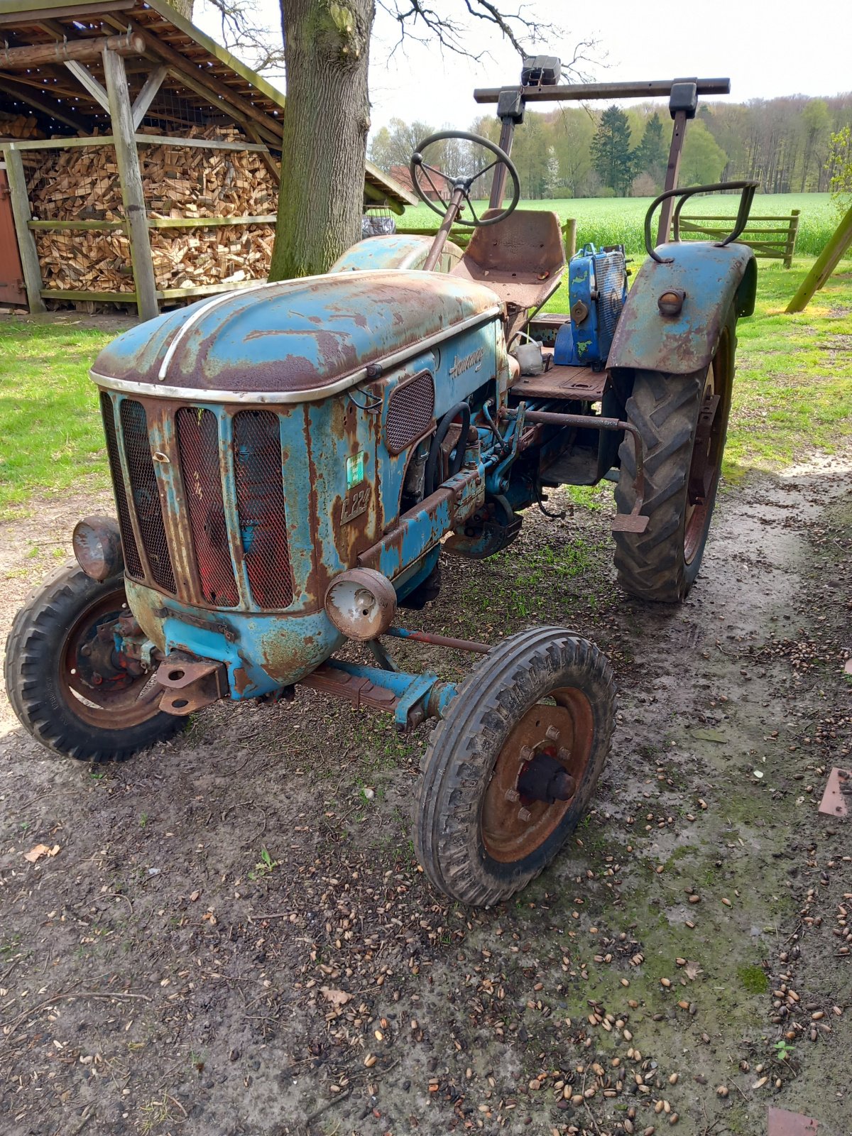 Traktor des Typs Hanomag C 224, Gebrauchtmaschine in Staffhorst (Bild 2)