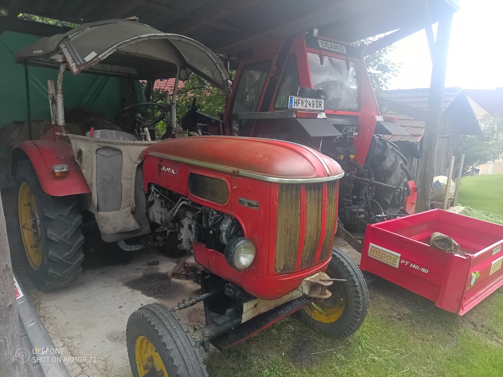 Traktor van het type Hanomag Perfect 300, Gebrauchtmaschine in 8221 Feistritztal (Foto 1)