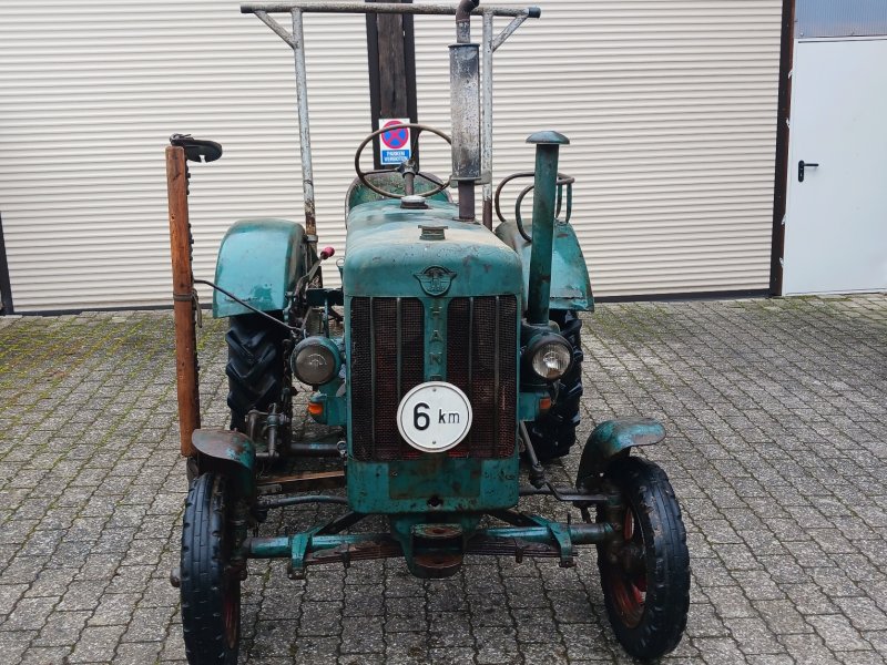Traktor του τύπου Hanomag R 16, Gebrauchtmaschine σε Münstermaifeld (Φωτογραφία 1)