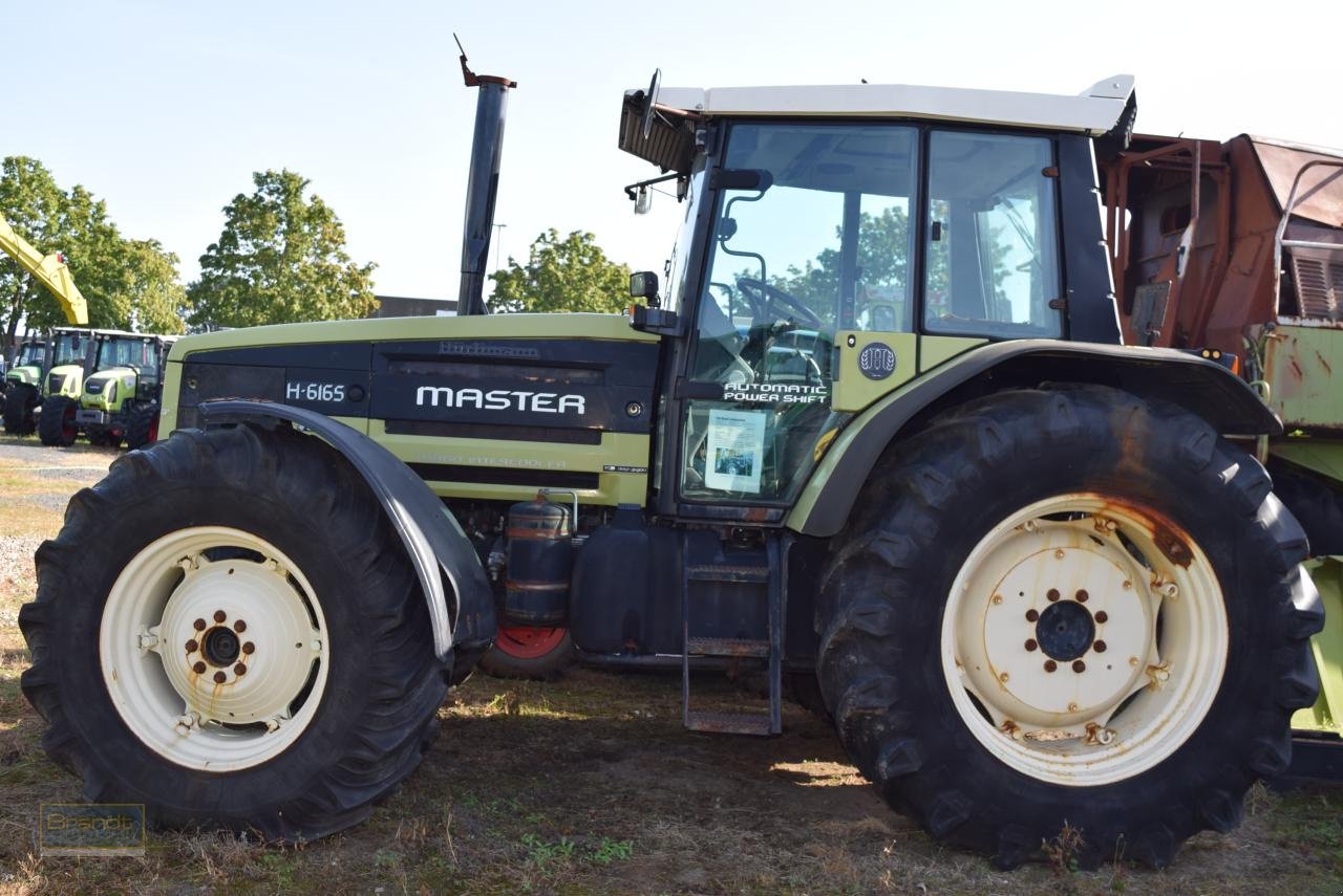 Traktor tip Hürlimann H 6165 Master, Gebrauchtmaschine in Oyten (Poză 2)