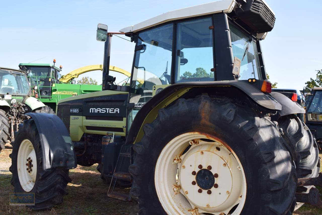 Traktor tip Hürlimann H 6165 Master, Gebrauchtmaschine in Oyten (Poză 3)