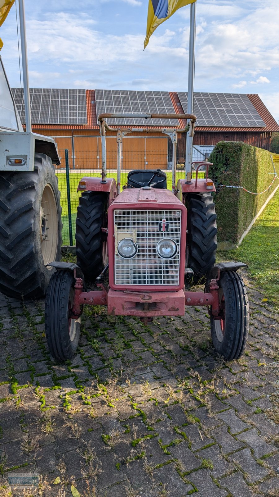 Traktor des Typs IHC 353, Gebrauchtmaschine in Vilshofen (Bild 3)