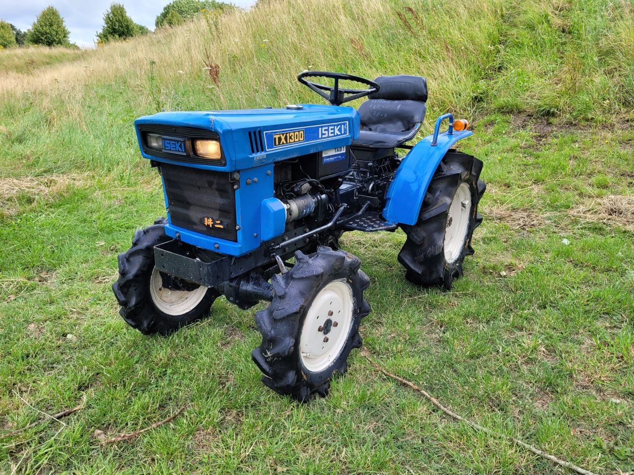 Traktor van het type Iseki Tx, Gebrauchtmaschine in Werkendam (Foto 1)