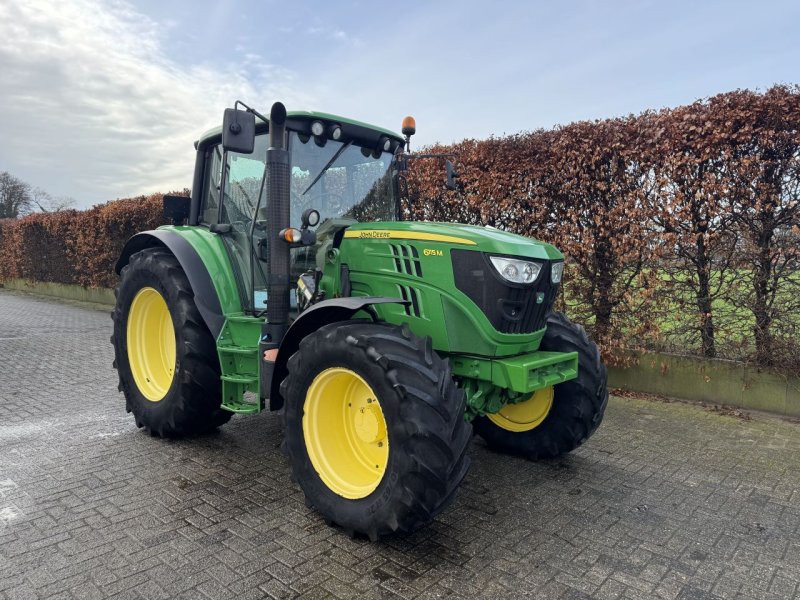 Traktor of the type John Deere 6115M, Gebrauchtmaschine in Deurningen (Picture 1)