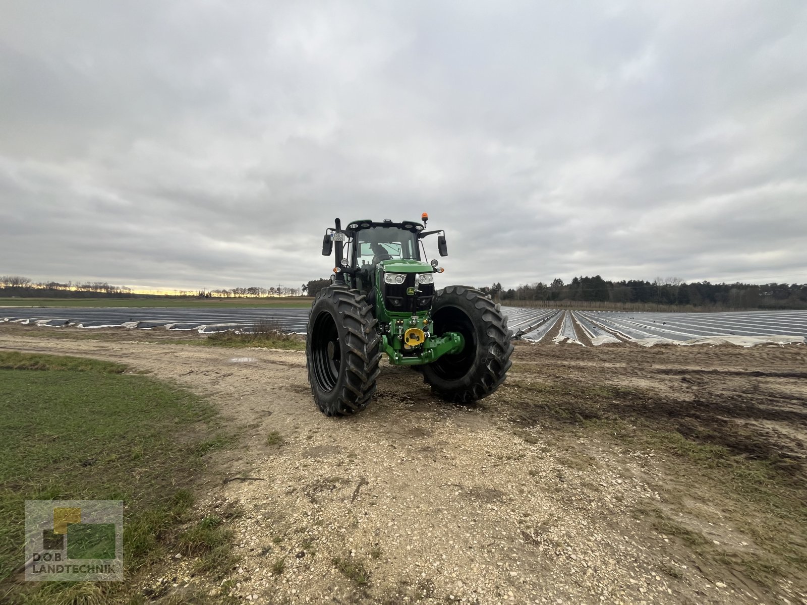 Traktor des Typs John Deere 6155MH Hochrad Spargel > 80cm Bodenfreiheit, Gebrauchtmaschine in Langweid am Lech (Bild 3)