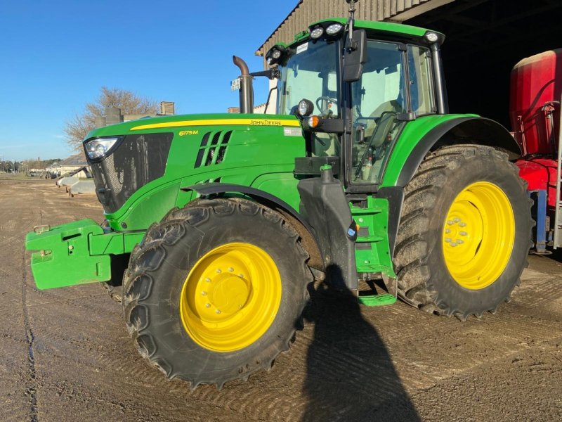 Traktor Türe ait John Deere 6175M, Gebrauchtmaschine içinde Neubrandenburg