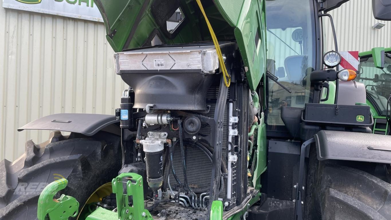 Traktor Türe ait John Deere 6R215, Neumaschine içinde Damme (resim 19)