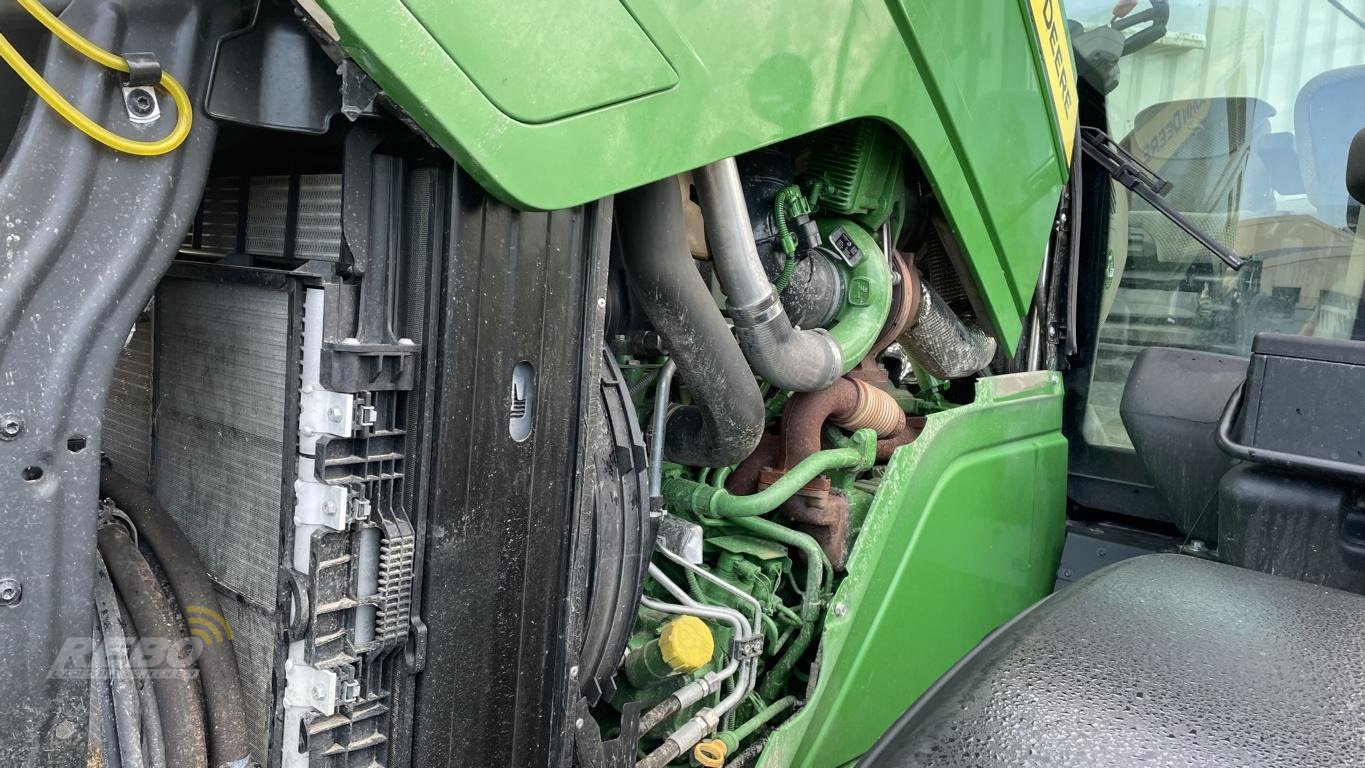 Traktor Türe ait John Deere 6R215, Neumaschine içinde Damme (resim 20)