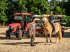 Traktor van het type Kubota L1-522 Aktion ab 0,0%, Neumaschine in Olpe (Foto 8)