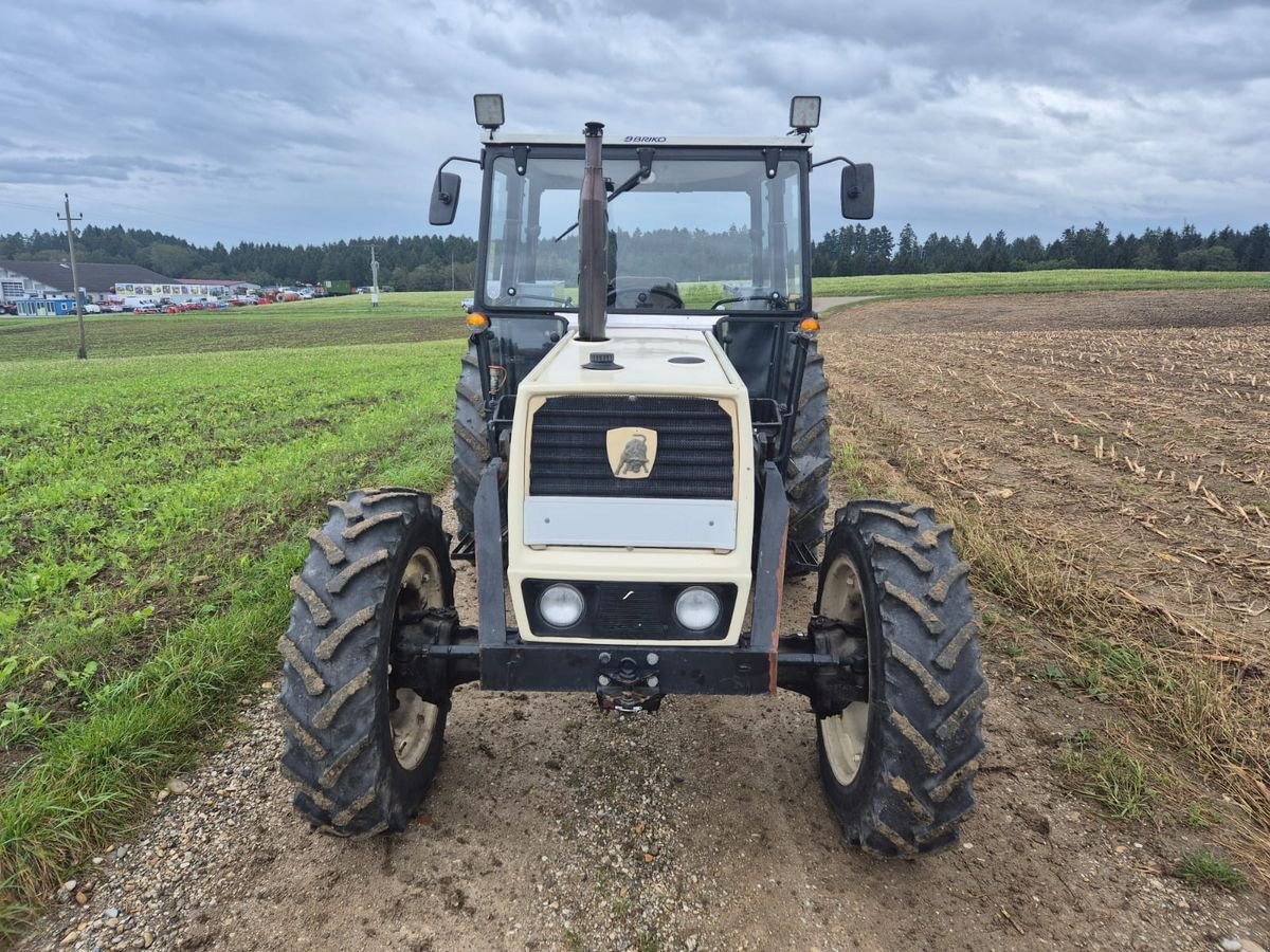 Traktor des Typs Lamborghini 684DT, Gebrauchtmaschine in NATTERNBACH (Bild 16)