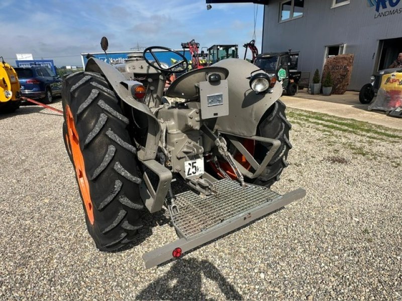 Traktor des Typs Landini L 35/40 Baujahr 1952 Glühkopf, Gebrauchtmaschine in Schutterzell (Bild 10)