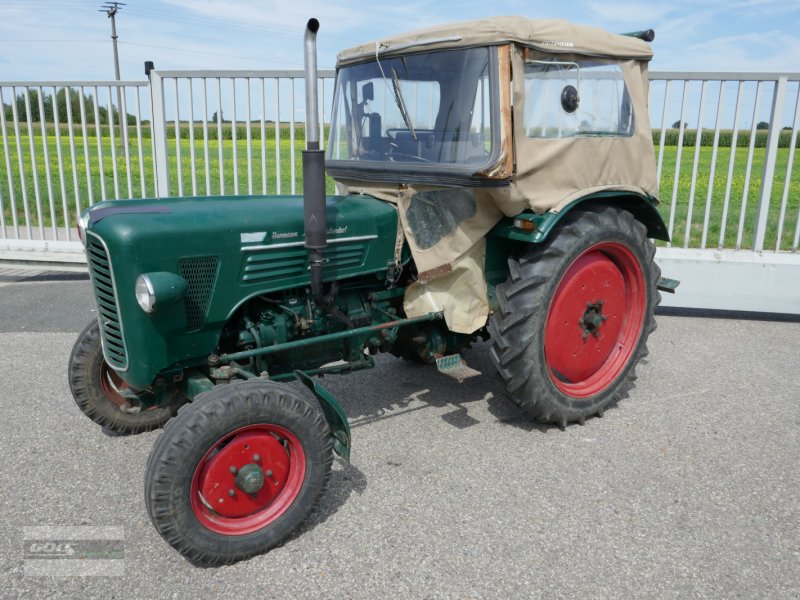 Traktor of the type Lanz Aulendorf D 434 im wirklich gutem Zustand! Liebhaberstück!, Gebrauchtmaschine in Langenzenn (Picture 1)