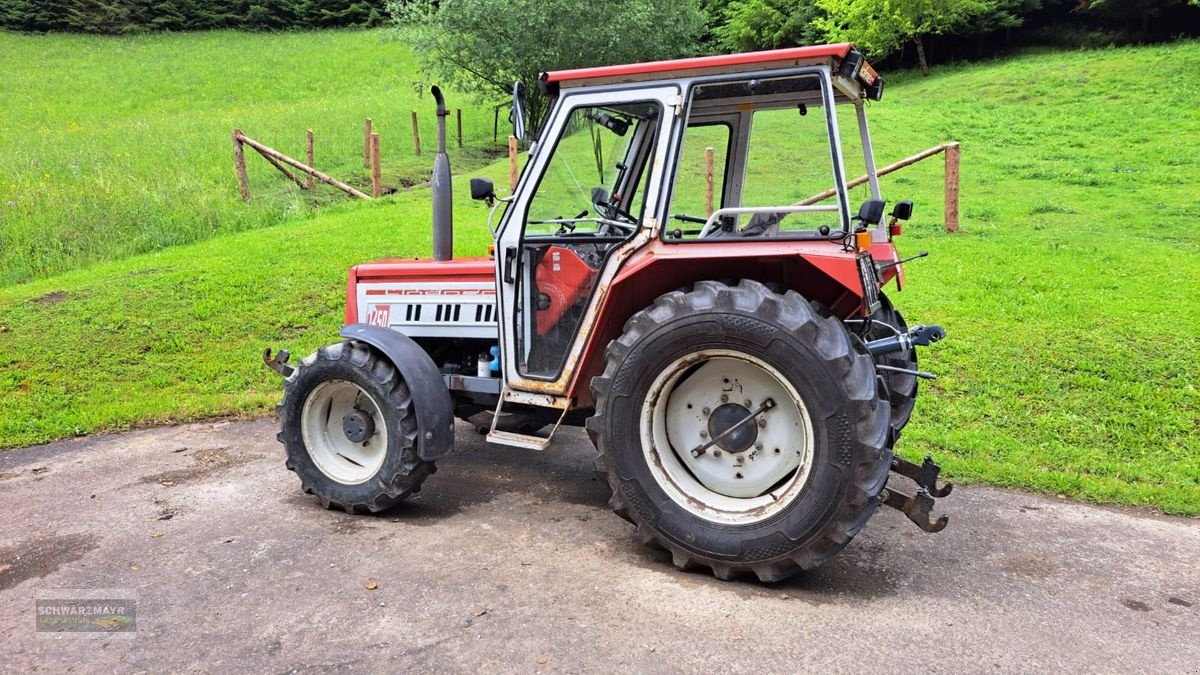 Traktor del tipo Lindner 1450 A, Gebrauchtmaschine In Gampern (Immagine 4)