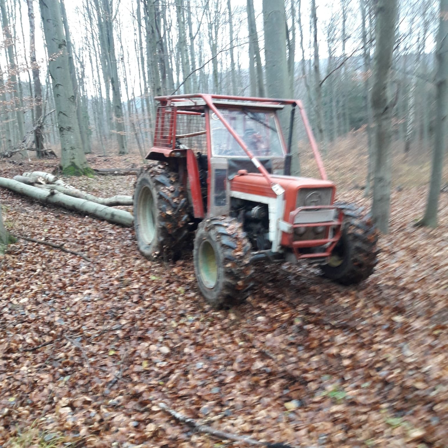 Traktor des Typs Lindner 450, Gebrauchtmaschine in Pottenstein (Bild 1)