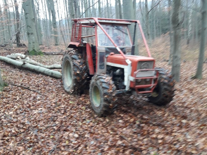 Traktor des Typs Lindner 450, Gebrauchtmaschine in Pottenstein (Bild 1)