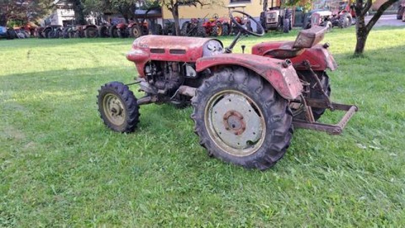 Traktor от тип Lindner BF 22 A Allrad, Gebrauchtmaschine в Stainach (Снимка 2)